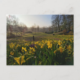 Jag vandrade ensam som ett moln av William Wordswo Vykort