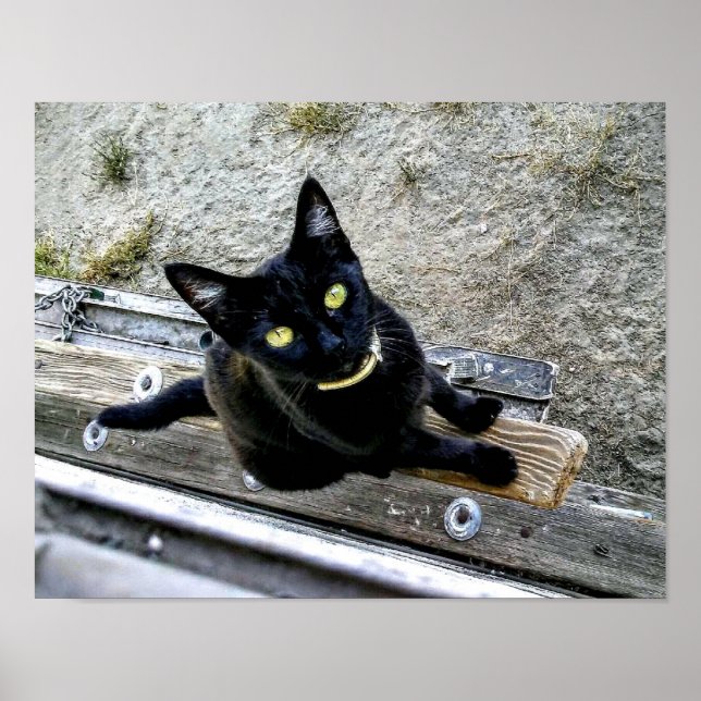 Jag väntar poster (Framsidan)