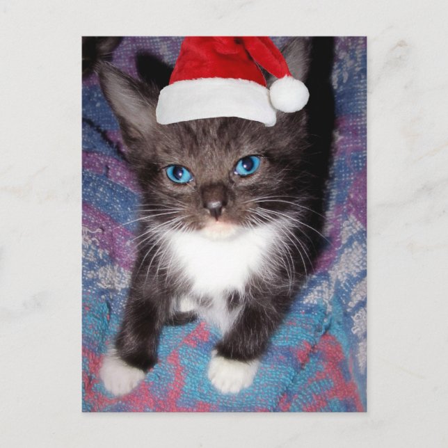 JAG VAR BRA I ÅR VYKORT (Framsida)