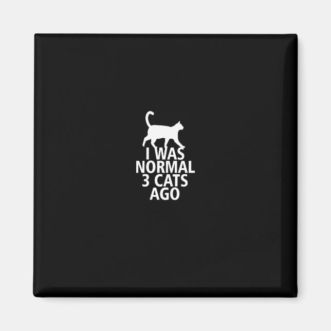 Jag var normal för 3 katter sen magnet (Framsidan)