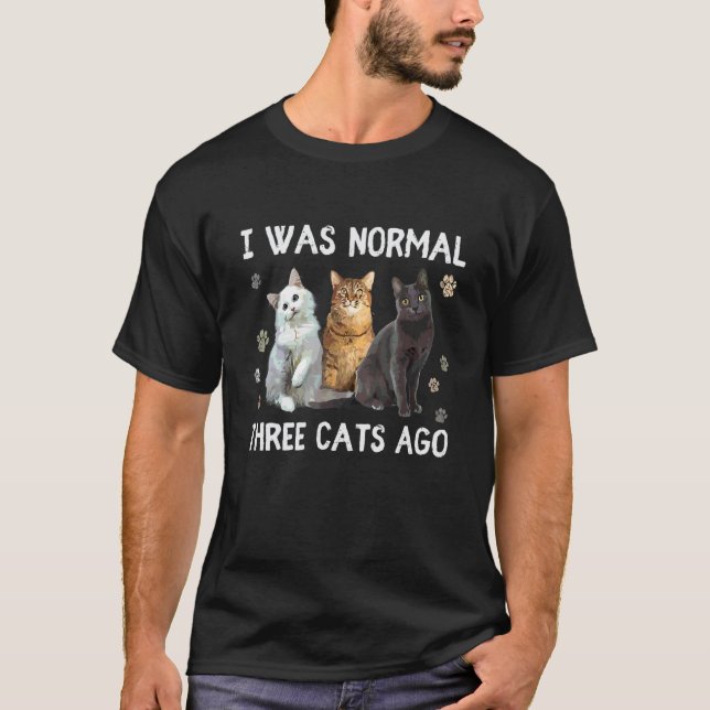 Jag Var Normal För Tre Katter Tillbaka  Katt T Shirt (Framsida)