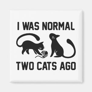 Jag var normal för två katter sedan magnet