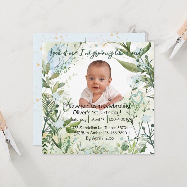 Jag växer som en ogräs, 1:a födelsedagspojke. (Fram/Back In Situ)