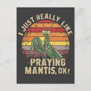 Jag Verkligen gillar att be Mantis Ok Insekt Retro Vykort