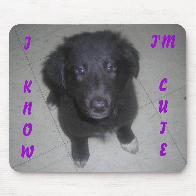 JAG VET ATT JAG ÄR CUTE PUPPY MUSMATTA (Framsidan)
