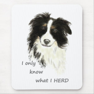 Jag vet bara vad jag har besatt Gräns Collie Hund  Musmatta
