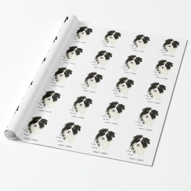 Jag vet bara vad jag har besatt Gräns Collie Hund  Presentpapper (Utrullad)