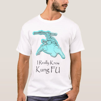 jag vet egentligen kung fu tee shirt