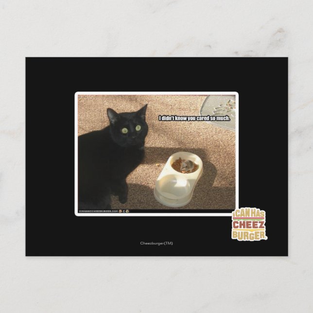 Jag vet inte att du brydde dig vykort (Framsida)