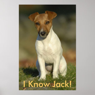 Jag vet jacken! poster