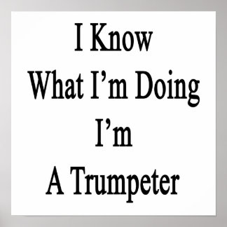 Jag vet vad jag gör.. Jag är en trumpeter Poster