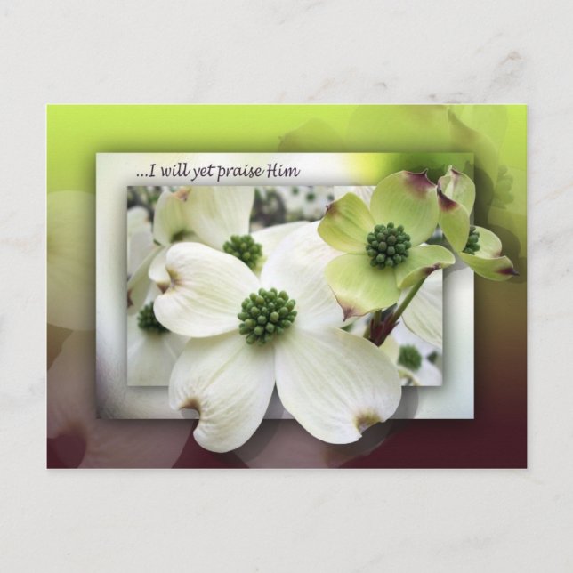 Jag vill än en gång berömma honom vykort (Framsida)