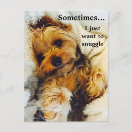 Jag vill bara ringa Yorkie Vykort