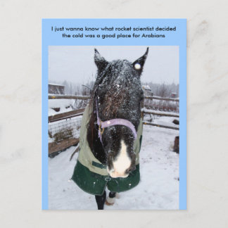 Jag vill bara veta vilken raketsci... vykort