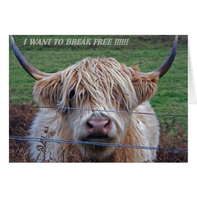 Jag vill bryta fri hälsningskort (Framsidan Horizontal)