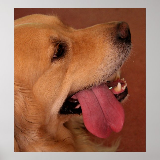 Jag vill fortfarande ha mer... poster (Framsidan)