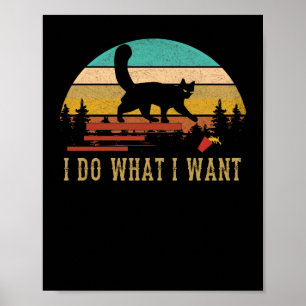 Jag vill ha Cat Vintage Sunset Poster