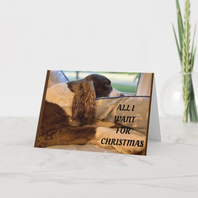 JAG VILL HA CHRISTMAS FÖR ATT SE *DIG* HELGKORT (Framsida)