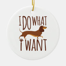 Jag vill ha Dachshund Doxie Hund Stubborn