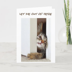 JAG VILL SÄGA **GRATTIS PÅ FÖDELSEDAGEN** TILL "DU KORT