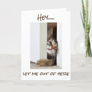 JAG VILL SÄGA **GRATTIS PÅ FÖDELSEDAGEN** TILL "DU KORT