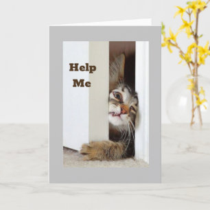 JAG VILL SÄGA **GRATTIS PÅ FÖDELSEDAGEN** TILL "DU KORT