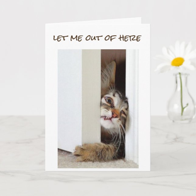 JAG VILL SÄGA **LYCKLIG 11 BIRTHDAY** TILL "DU" KORT (Liten växt)