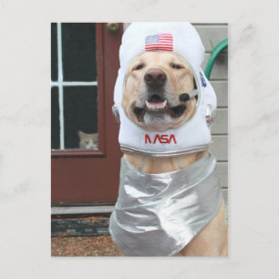 Jag vill ta Bilder Vykort