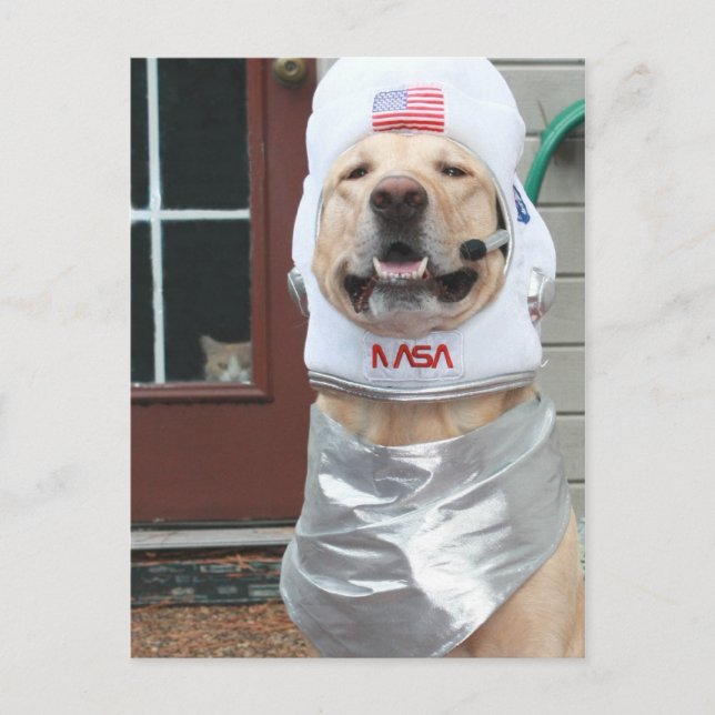 Jag vill ta Bilder Vykort (Framsida)