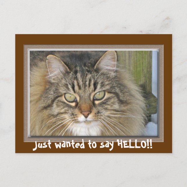 Jag ville bara säga HEJ! Vykort (Framsida)