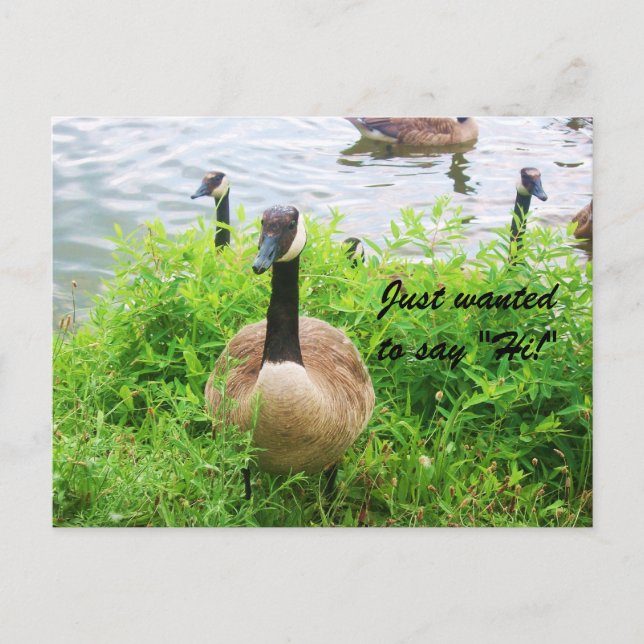 JAG VILLE BARA SÄGA "HI"! vykort (Framsida)