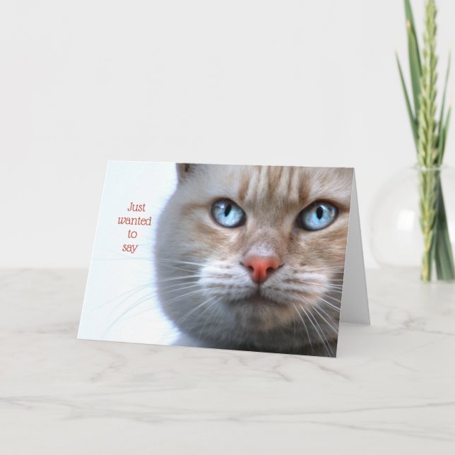 Jag ville bara säga (katt ansikte) tack kort (Framsida)