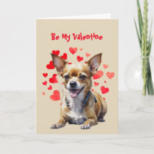 Jag Voffar kärlek till dig söt Chihuahua hund Vale