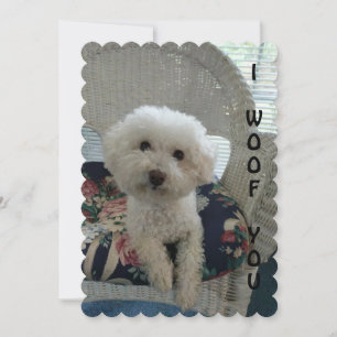 Jag Woof You Card Julkort