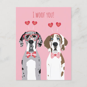 Jag Woof You Great dane Hundar Rosa Red Vykort