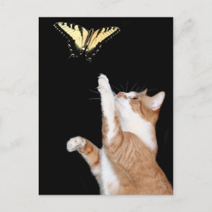 jaga din dröm vykort