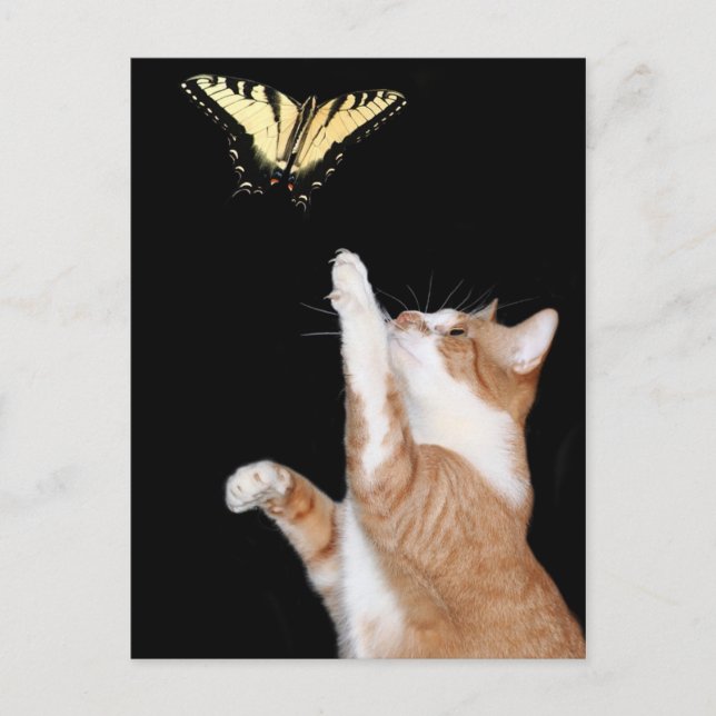 jaga din dröm vykort (Framsida)