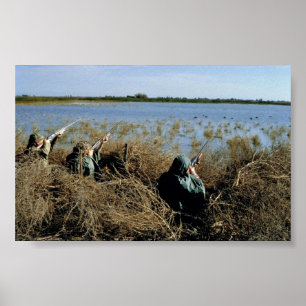 Jaga för Waterfowl Poster