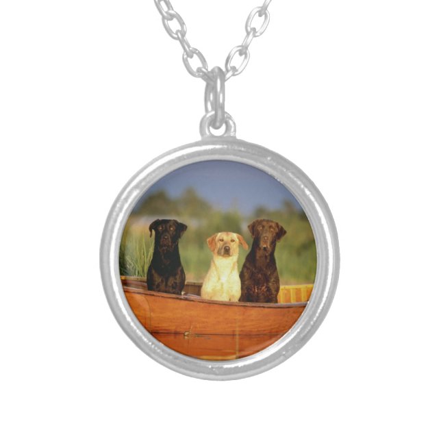 Jaga hundar silverpläterat halsband (Framsidan)