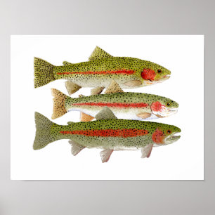 Jaga regnbågeaffischen poster