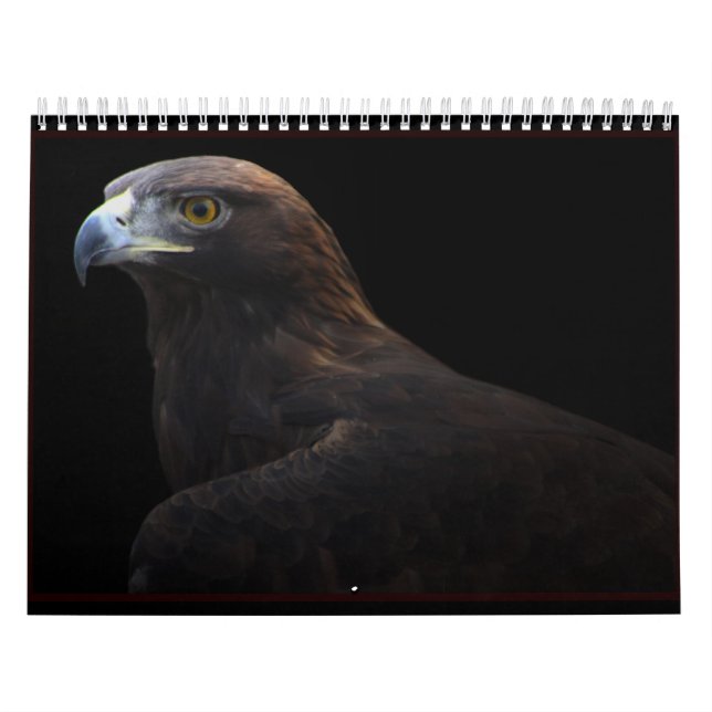 Jägare av kalendern för himmel 2014 kalender (Omslag)