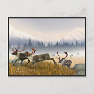 Jägare i Mist (Västindiou) Vykort
