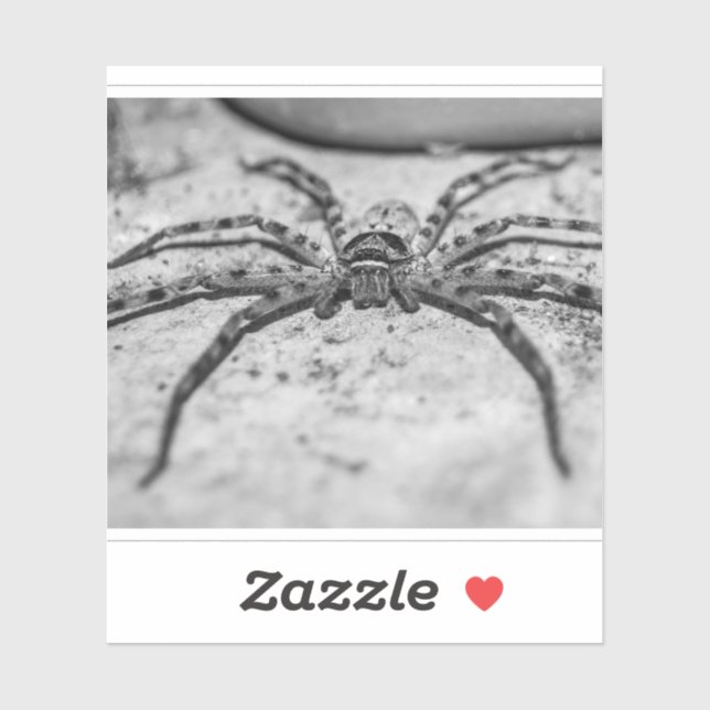 Jägare Spindel Klistermärken (Ark)