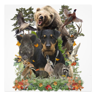 Jagdskräcker, tyska jaktterrier fototryck