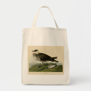 Jager (Pomarine Jaeger) Audubon's Birds of America Tygkasse