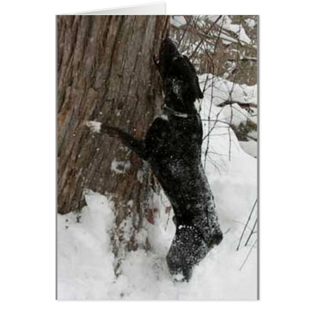 Jagger Hälsningskort (Framsidan)