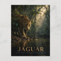 Jaguar Amazonas regnskog DJUR