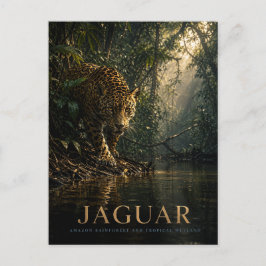 Jaguar Amazonas regnskog DJUR Vykort