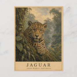 Jaguar Amazonas regnskog VINTAGE Vykort