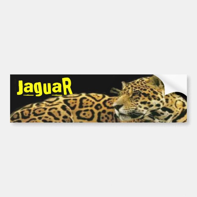 Jaguar Bildekal (Framsidan)